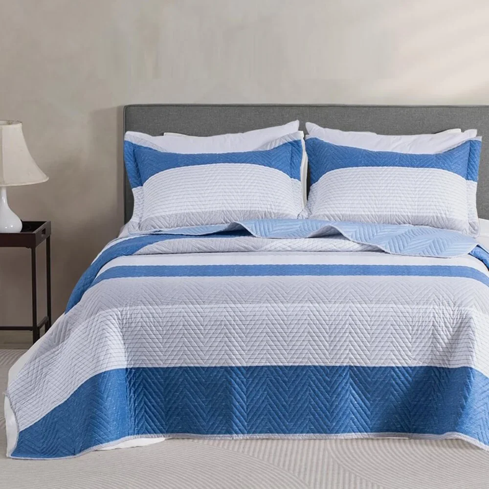 Queen - Soft & Cozy Blue and White Quilt Set